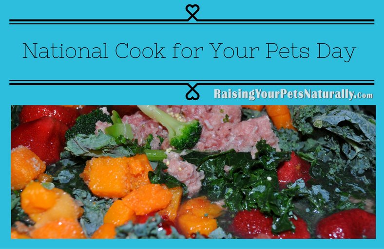 dogtrainer4ever's tweet image. #WellnessWednesday~ People Food vs #PetFood What You Need to Know. Do you know that "pet feed" can include meat from animals referred to as 4D – dead, dying, diseased and disabled? #realfoodfordogs #rawdog #petnutrition #homemadedogfood #cookingfordogs raisingyourpetsnaturally.com/national-cook-…