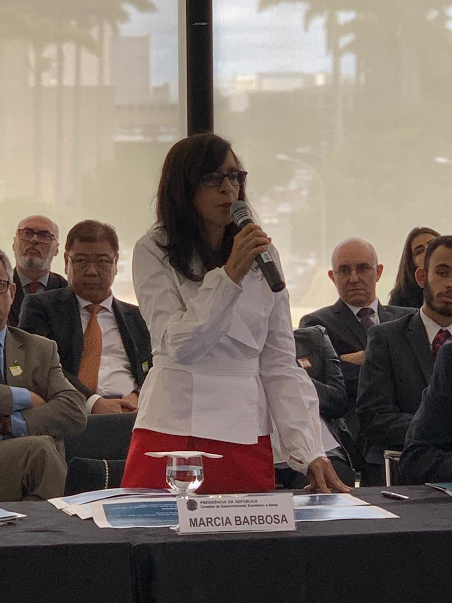 cdes_brasil's tweet photo. A conselheira Marcia Barbosa apresenta os resultados da comissão de "reforma política", da qual foi coordenadora. https://t.co/aYG79EnowJ