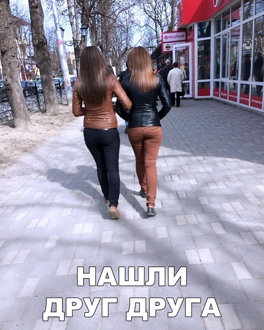 Нашли друг друга прикол