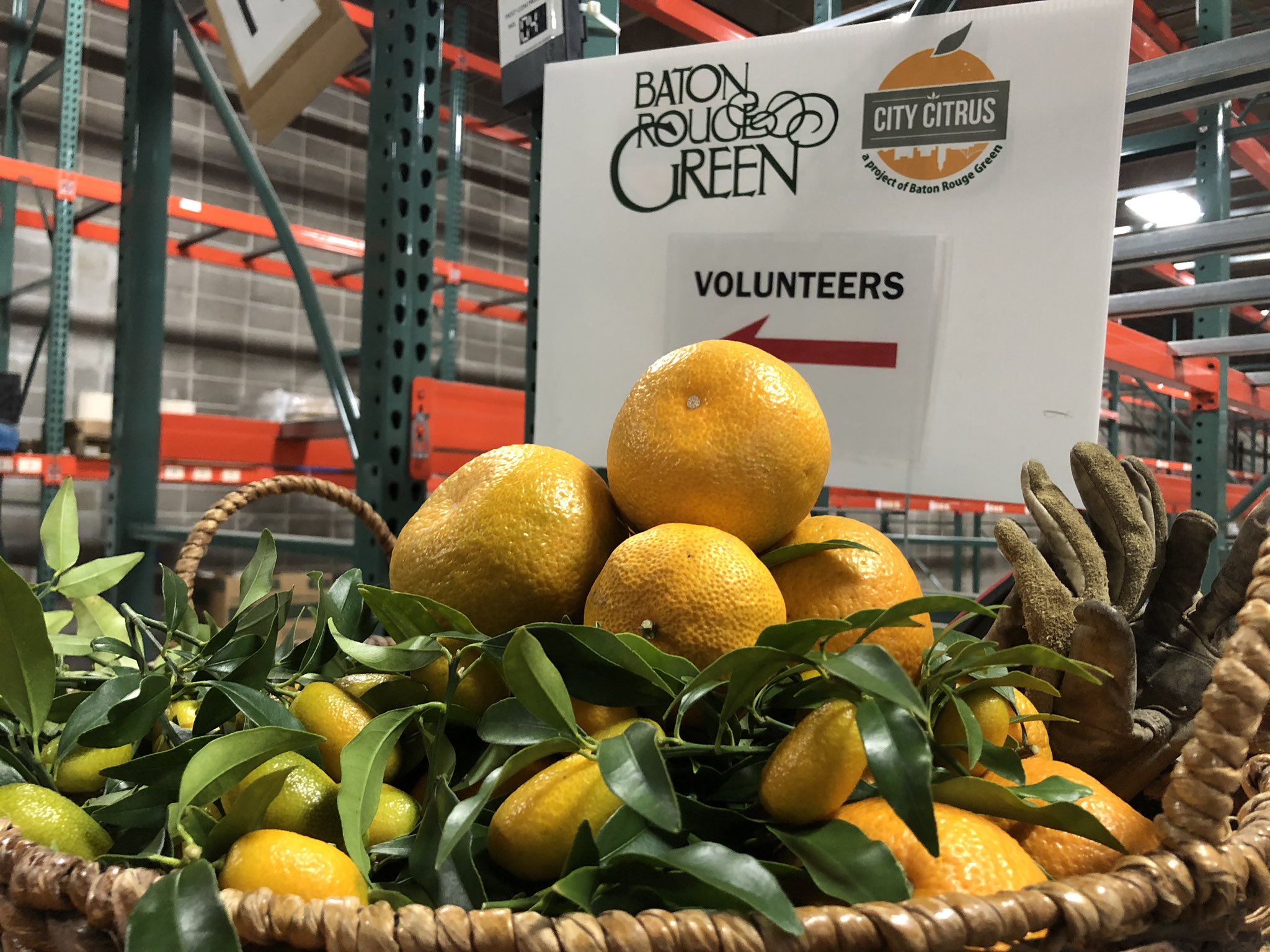 lizkohTV on Twitter "Hey Baton Rouge, do you have a prolific fruit