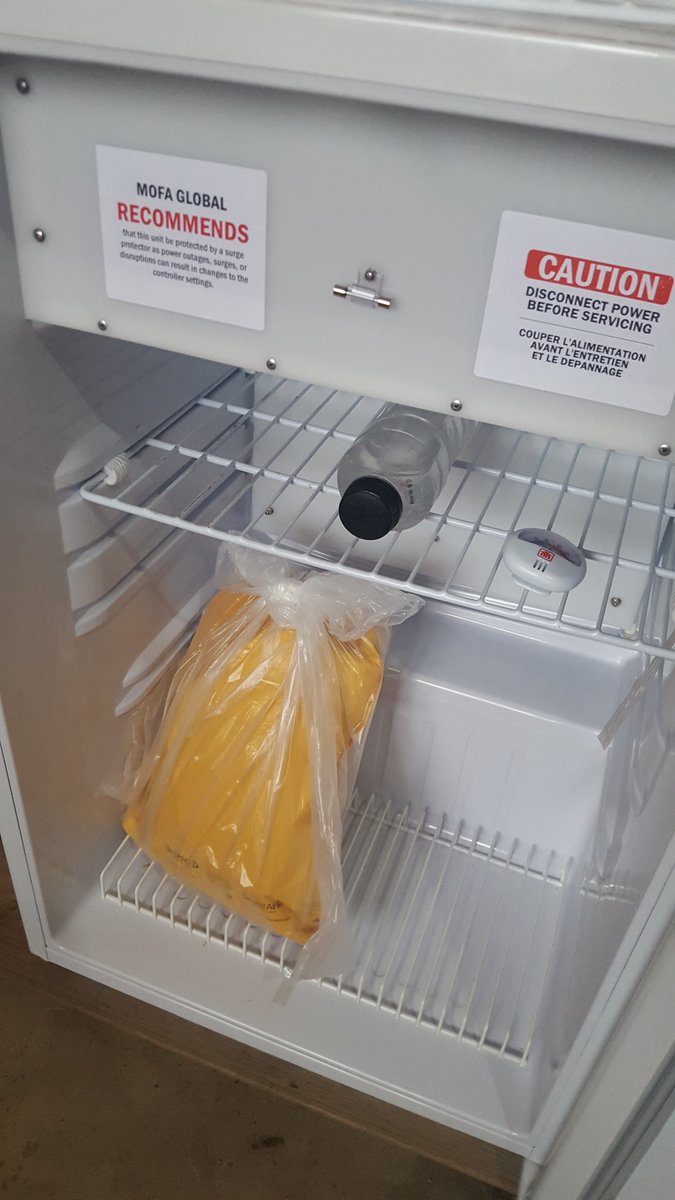 BirnamPork's tweet image. We keep a bottle of water with a thermometer in our semen fridge. Why? When in doubt of the fridge it will give the most accurate reading of the semen temperature. For boar semen this should be between 16°C and 18°C (61F-64F). #ontag #ontariopork #realpigfarming #TheMoreYouKnow