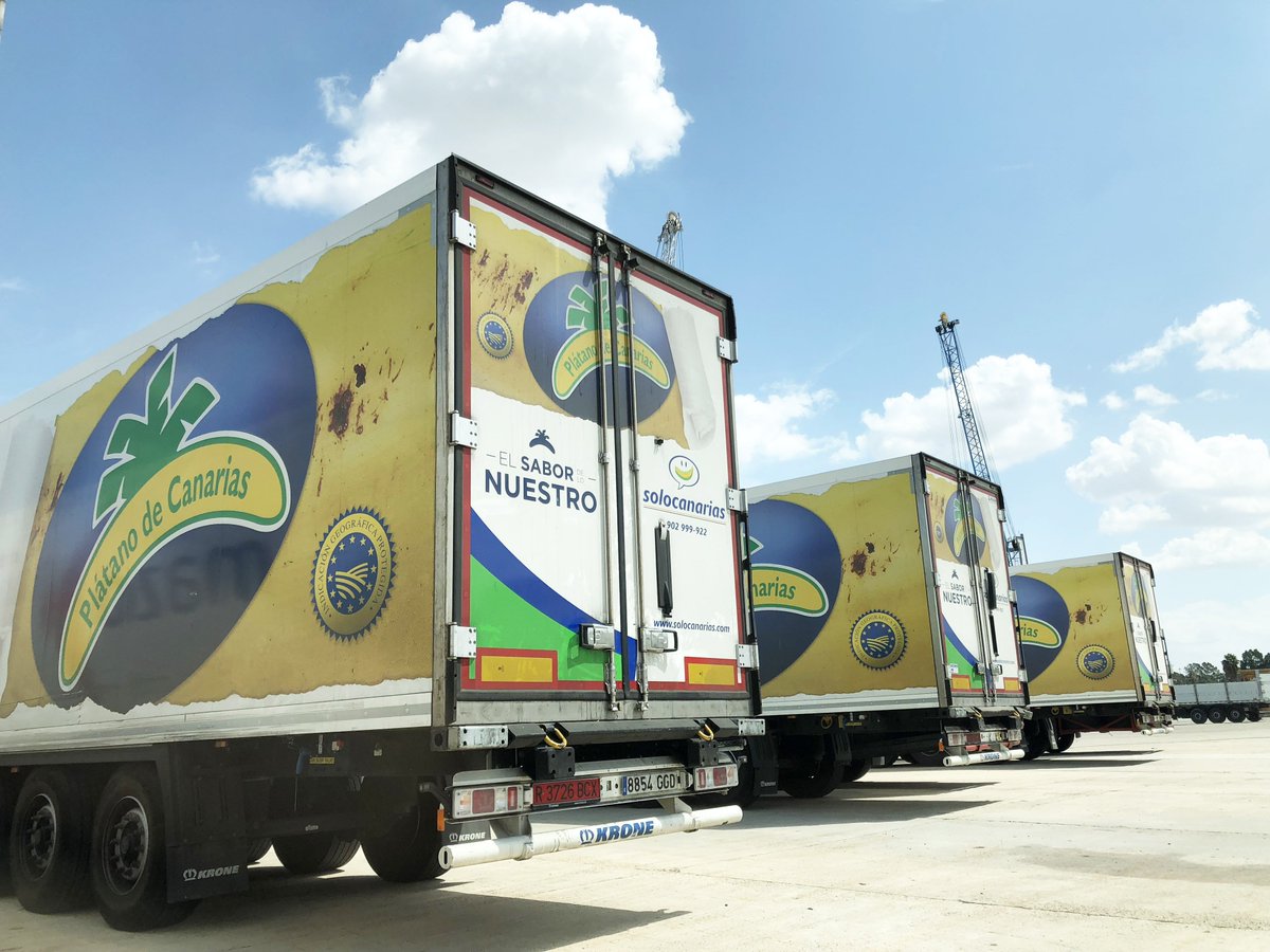 Solocanarias tweet media