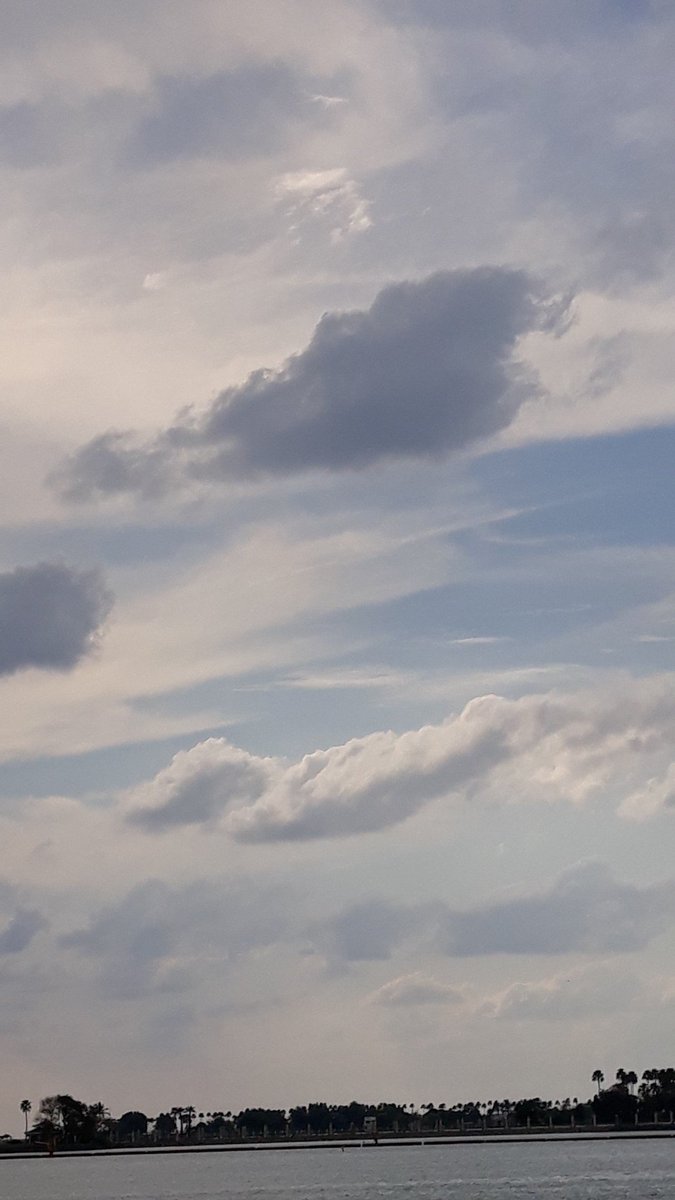 ومذ كتبت عنكِ الشعر 
أرى قمرا في كل فعلٍ 
وأشم عطرا من فم الاسماء 
#ناب
#تصويري