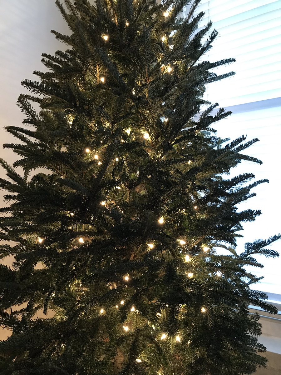 The lights are going on the tree and house already smells like Christmas! #tistheseason #feelingood #planningfor2019 #christmasmusic