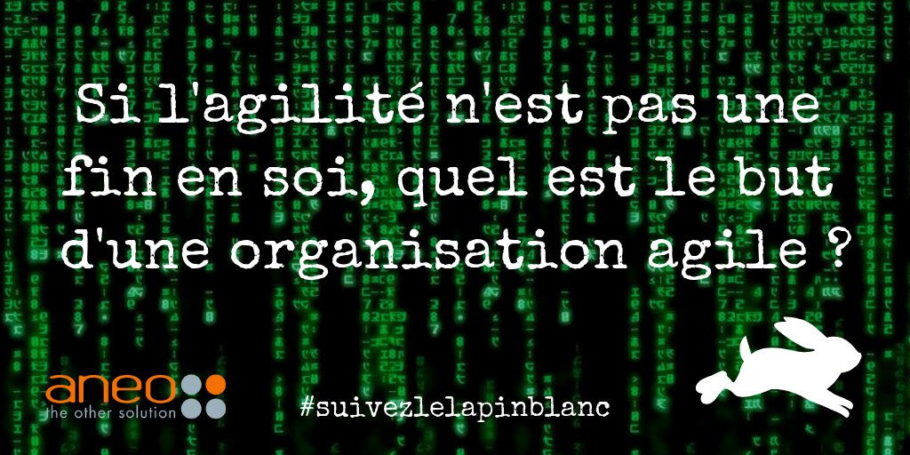 ANEOConseil's tweet photo. [Événement] Ce 28 novembre à 16h30 @FlowConFR • Conférence de @kossdav - coach agile chez @ANEOConseil : « J’ai fait ce choix moi aussi par le passé. À plusieurs reprises. Je l’avoue. J’ai pris la pilule  bleue… » #FlowCon2018  #Agilité #suivezlelapinblanc https://t.co/IekYJLcTfR