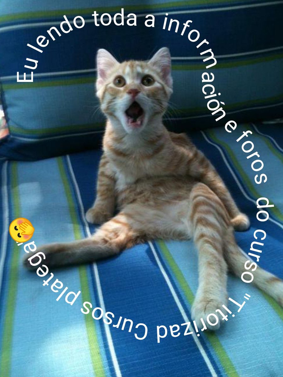 Thadeus's tweet photo. #CAFImemes #CAFI_titorizarplatega https://t.co/h7tCcMy7l2