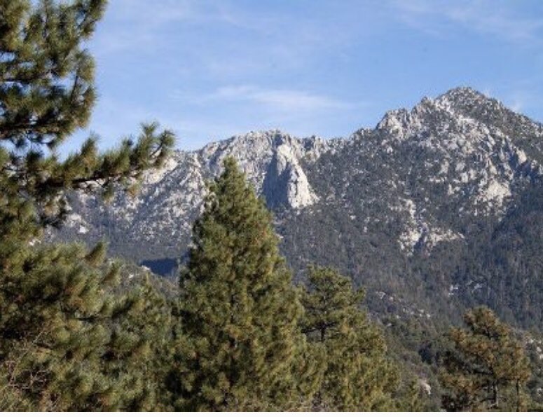 VolunteerForces's tweet photo. Teams from San Bernardino County Sheriff are back out for day two assisting our neighbors @RSO on a search for a critical missing in Idyllwild. If you have seen David Bradish please call the Riverside County Sheriff’s Department. https://t.co/KGsGLV2bJj
