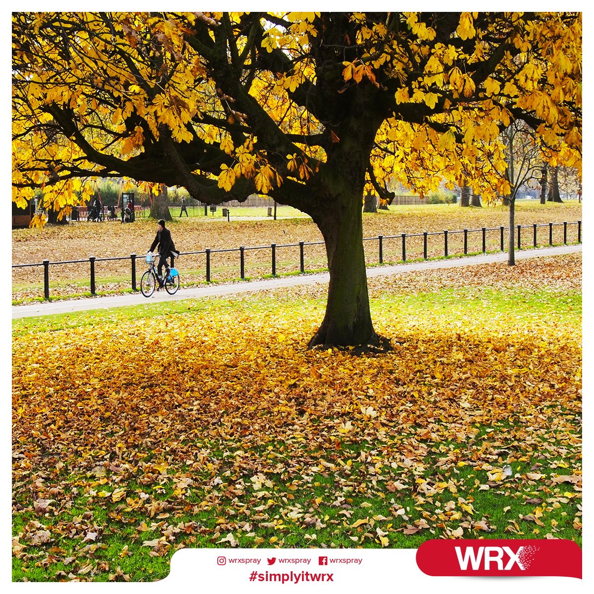 If you are looking which colour in nature, Wrx Spray Paint has every colour in your chosen. 🍁🍃 #wrxspray #wrxtrade #autumn #fall