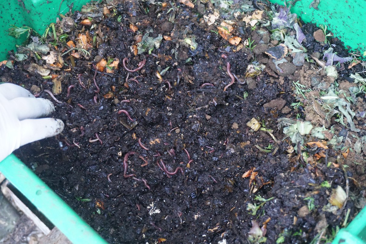 ReciclaAsPontes's tweet photo. O Concello de @AsPontes presenta mañá os resultados do seu dobre programa de compostaxe  bautizado como #CompostDaCasa. Toda a información na web de #Sogama @EASogama https://t.co/ITEvHeaKNp @CompostaenRed @RedCompostaje @TurismoAsPontes https://t.co/BZ2cqEqAZR