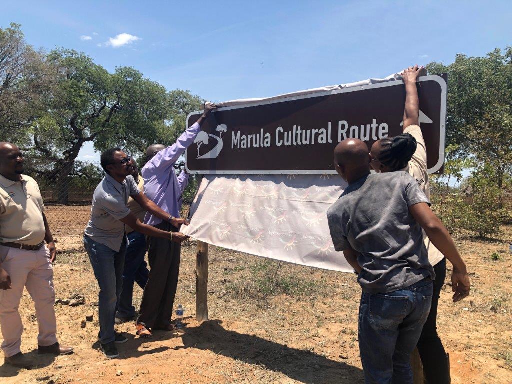 Mtpatourism's tweet image. The #Mpumalanga Tourism and Parks Agency (MTPA) together with Bushbuckridge Local Municipality and the Bushbuckridge Local Tourism Organisation (LTO) launched the Bushbuckridge Marula Cultural Route on 22 November 2018 ow.ly/VlH630mMHDy #DiscoverMpumalanga