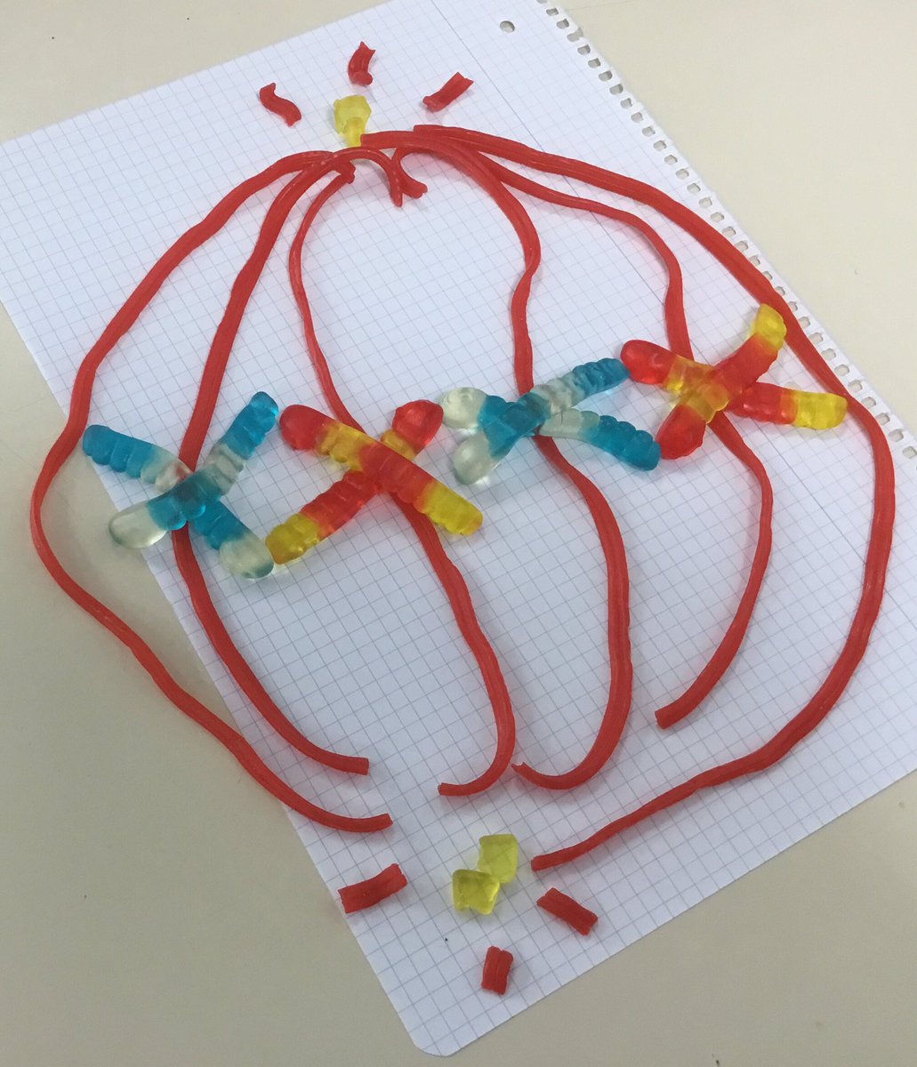 ScienceBrains's tweet photo. Mitosis creativa! Nuestros alumnos de 2º de bachillerato Brains Moraleja estudian la división con materiales cotidianos y chuches!Buen trabajo chicos.#mitosis #educacion @Colegio_Brains @CrisScience https://t.co/Ph6hNTVwXJ