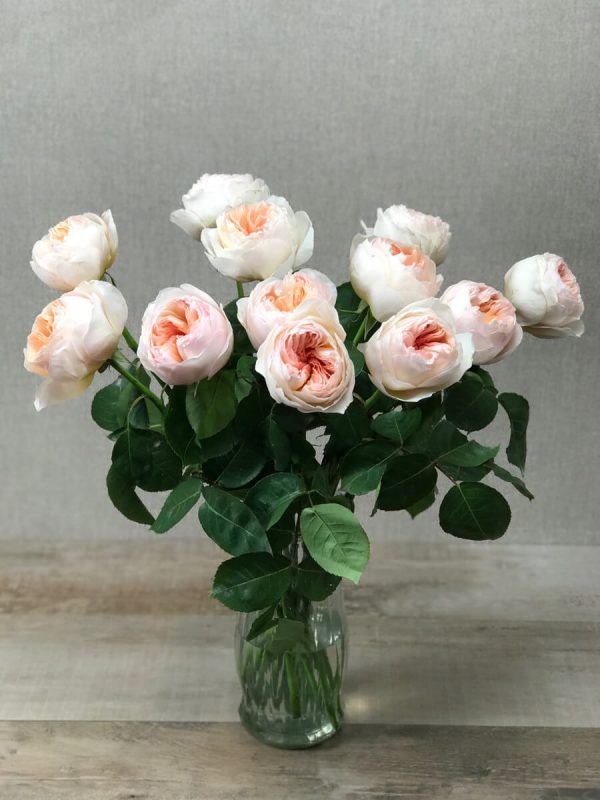 RT “Flower Delivery Chatsworth <a href="/chatsworth_FD/">Flower Delivery Chatsworth</a>
The time was ripe for Flower. The vibe was right. Jody Watley
#florist #floral #bouquet #flowerdeliverychatsworth #flowers” buff.ly/i5M57S
<a href="/parties_bloom/">Parties in Bloom</a> #florist #girlsnightout #wedding #Flowers #HomeDecor