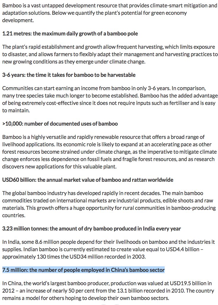 GRASS_Built's tweet photo. 7.5 million people are employed in #China's #bamboo industry. What if we tapped into this global market to create new #manufacturing job in the #USA? At #GRASSBuilt, we've dedicated to building a thriving US-based Bamboo economy #BamBoom #USJobs #MadeInUSA • @USChamber @mdaworks https://t.co/cCnGcRxyvp