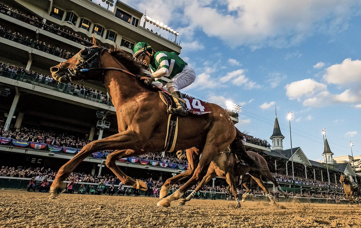 Learning to Accelerate: The Story of the 2018 Breeders’ Cup Classic winner and his rise to the top, as told by owner <a href="/KostaHronis/">Kosta Hronis</a>. Read the exclusive —> bit.ly/2QjBM6c