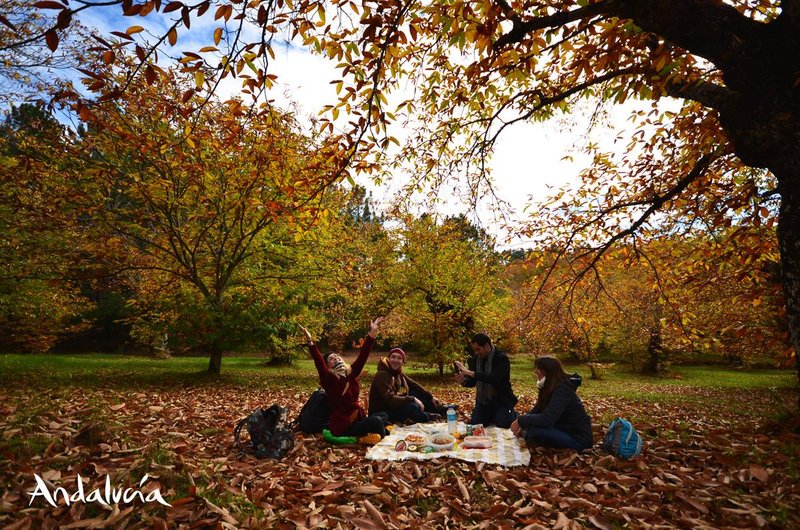 Raidvibes tweet media