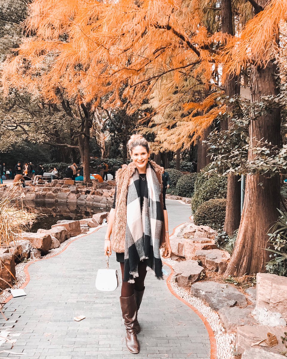 arielleabroad tweet media