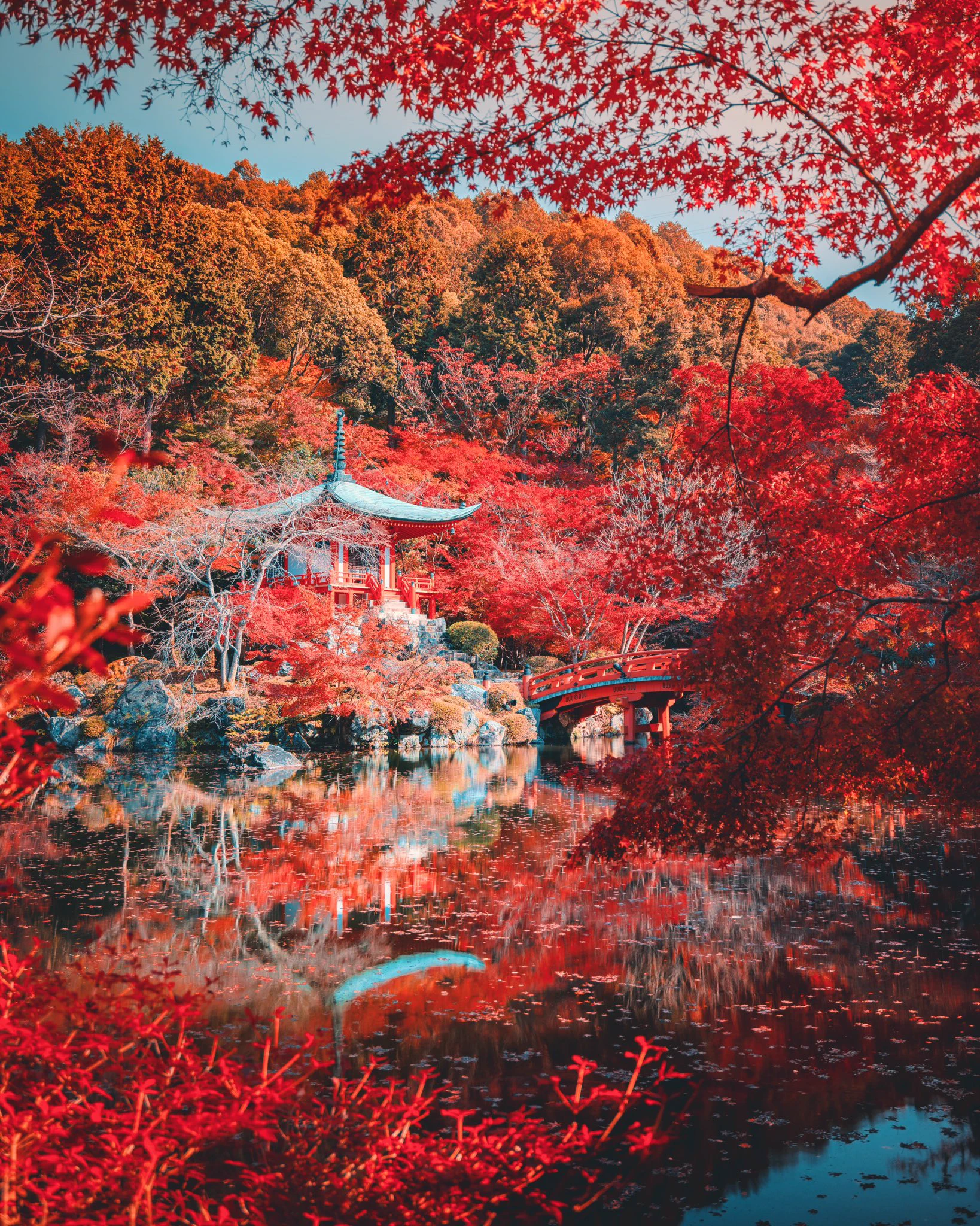 日本に生まれて良かった…！！２つの古都の真っ赤な秋！！