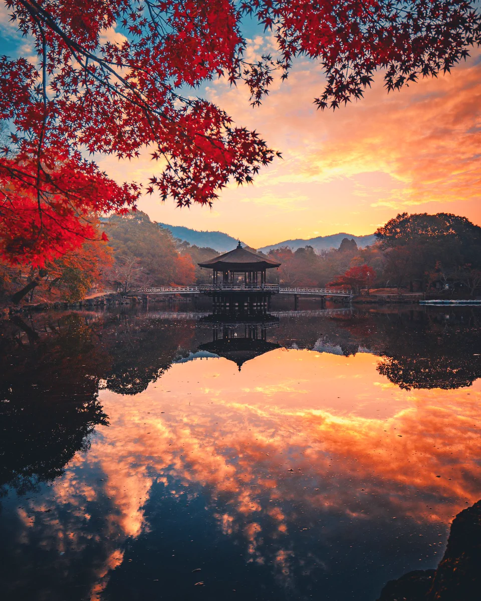 日本に生まれて良かった…！！２つの古都の真っ赤な秋！！