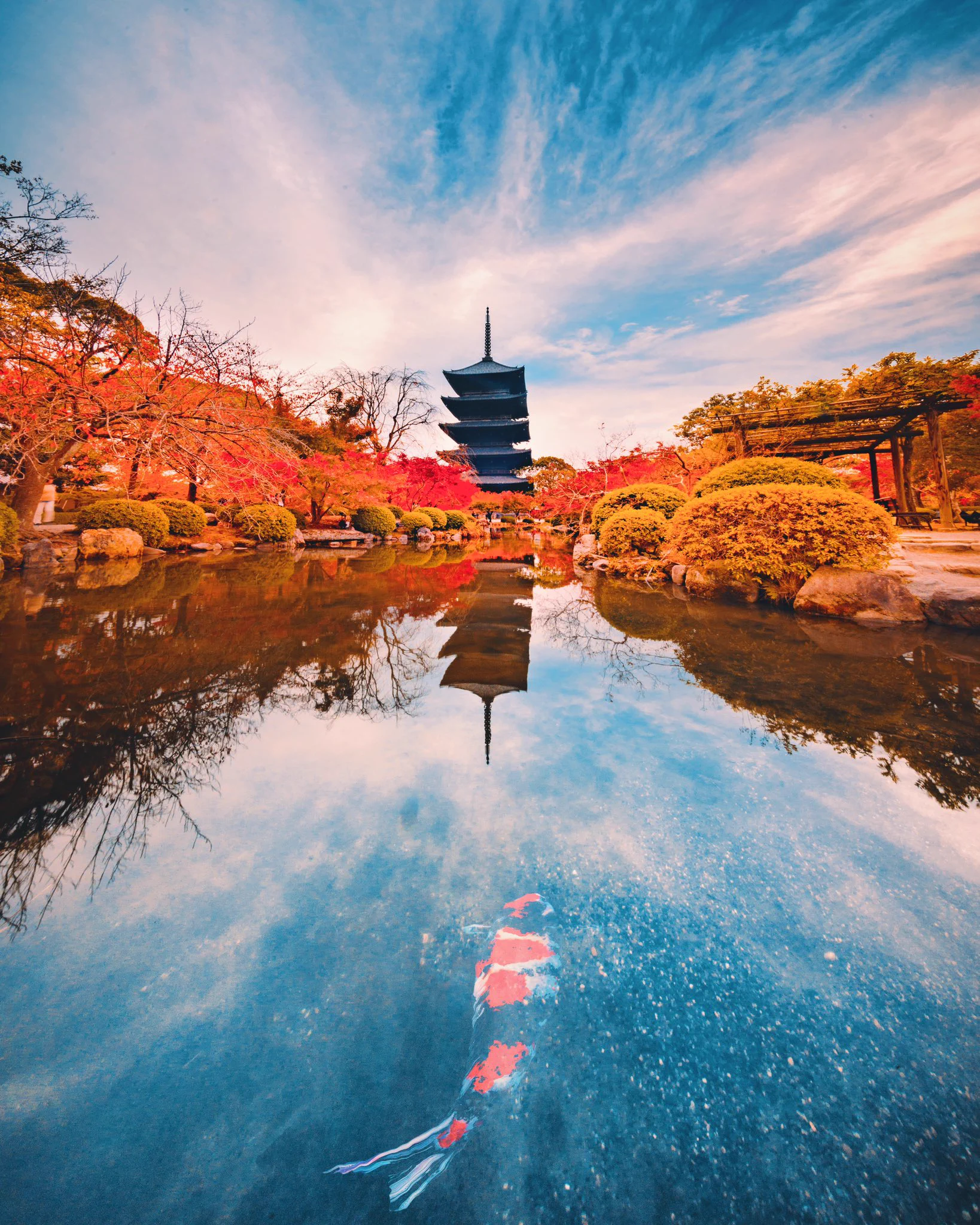 日本に生まれて良かった…！！２つの古都の真っ赤な秋！！