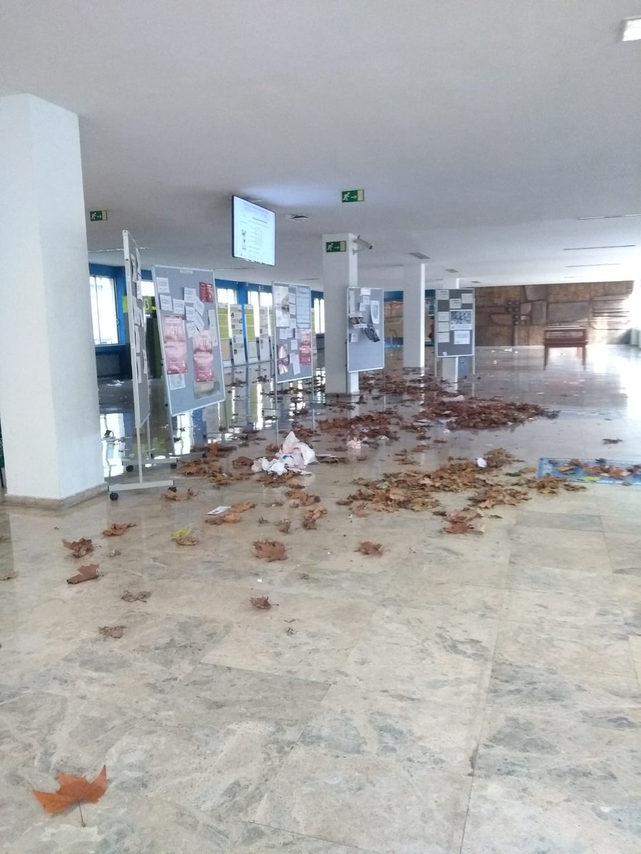 ¡Ya está aquí! La temporada de otoño  🍁  llegó a la UAM 😜