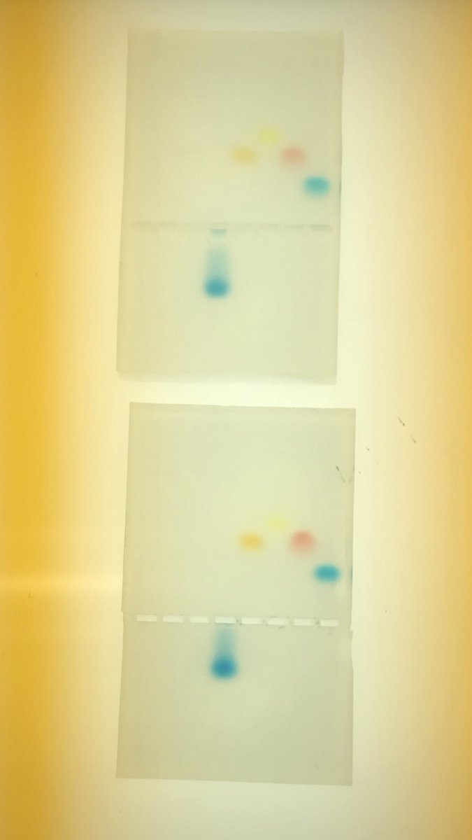 Children of the Earth DNA lab@ICSC