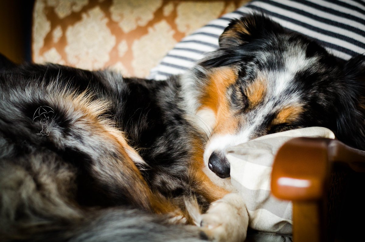Den Großteil des Tages verbringe ich übrigens... so.