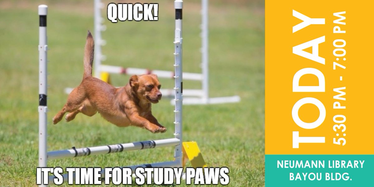 UHCLlibrary's tweet photo. Take a study break with the #StudyPAWS pups TODAY at the #UHCLlibrary from 5:30-7:00! https://t.co/Lfdjjwc2Tx