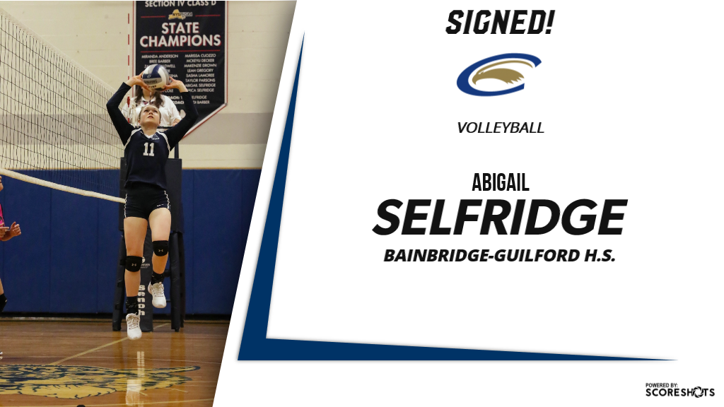 Clarion Volleyball tweet media