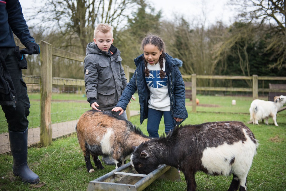 DellFarmCentre's tweet photo. "There is more treasure in books than in all the pirate's loot on Treasure Island." - Walt Disney
See what treasures you can find at #DellFarm with a FREE Book Day Visit. Just book a Spring ‘19 Residential Visit: https://t.co/yxOcn4CH2v #LearnOutdoors @ActiveLuton @UKSchoolTrips https://t.co/zJqADxJB7y