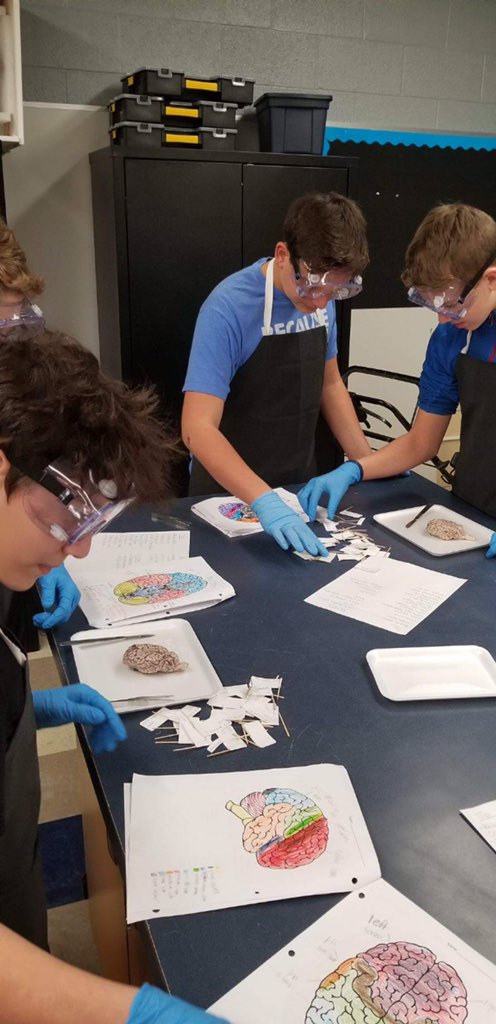 Ms_Tinney's tweet photo. More brain dissection pictures! What an awesome group of Medical Detectives @TecumsehWest https://t.co/hhMFIsFvlU