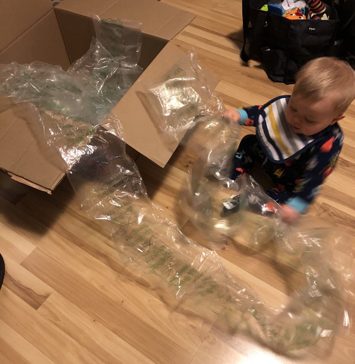 JillCravens03's tweet photo. @Target #JJ is impressed about how quickly we get our orders, or his true appreciation is for the packing materials! https://t.co/N84BnPspCy