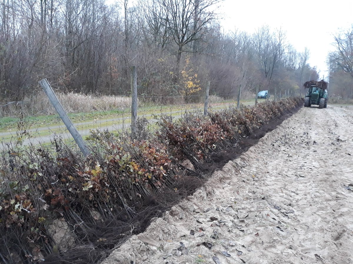 Meer dan 20.000 stuks bosplantsoen is vandaag gearriveerd voor het plantseizoen 2018- 2019.
#klimaatbos #DrontenLelystad
