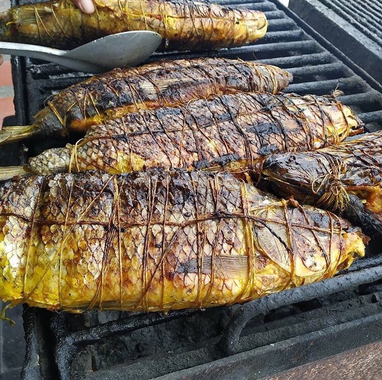 Resultado de imagen para bocachico en cabrito