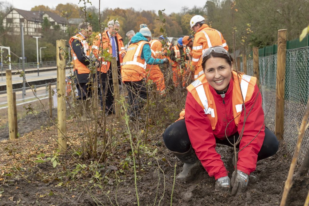 The Tree Council tweet media