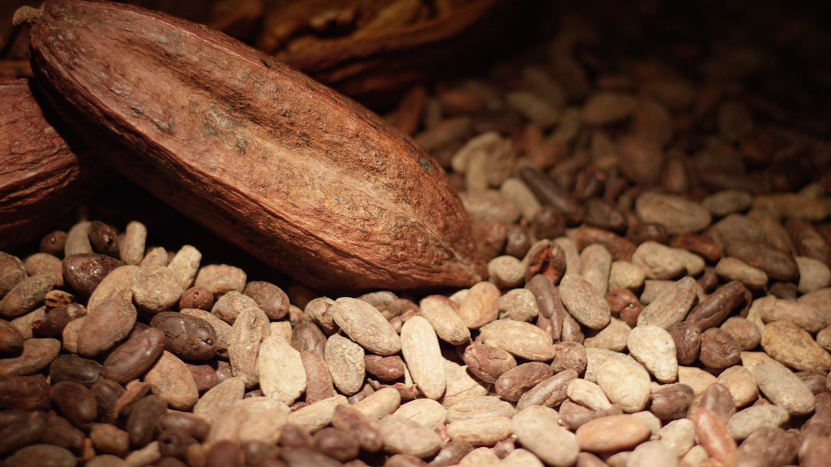 Did you know conventional almonds are gassed with a carcinogenic chemical found in engine fuel known as PPO? Our <a href="/NangaChocolate/">Nanga Chocolate</a> almonds are always 100% steam pasteurized.
