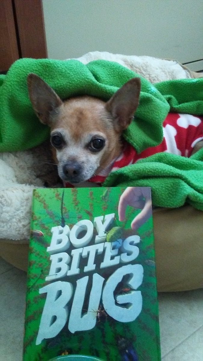 bennettwrites's tweet photo. Looky what just arrived. Can't wait to read it! Walter can't wait either. ๐#MGrocks! @RebeccaPetruck https://t.co/HfOUE5mqm8