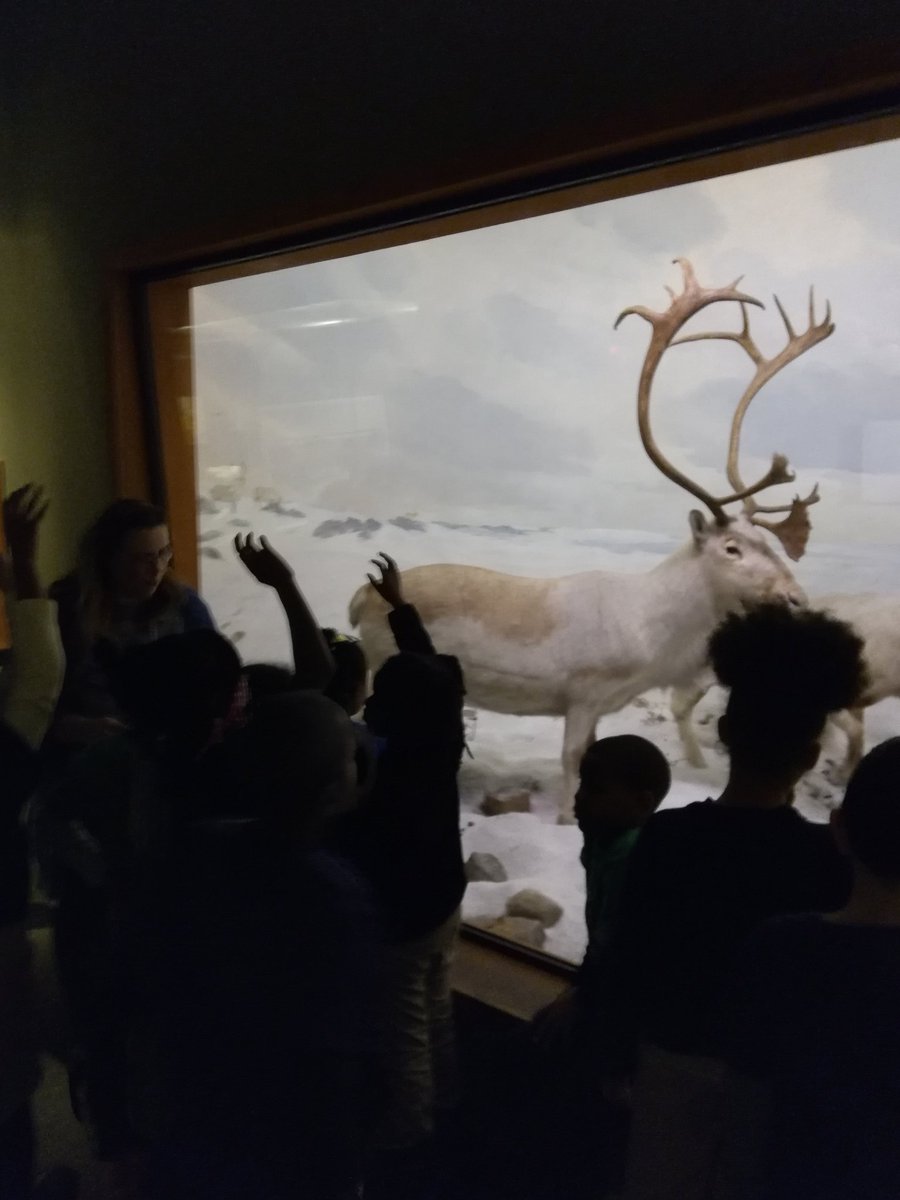 CarnegieMNH's tweet image. We are so glad you and your class had such a wonderful time at the museum! RT @3_sci: Nothing gives me #proudteacher feels like watching my students show off their knowledge! #thirdgradescience #bhes #flexingourbrains @CarnegieMNH