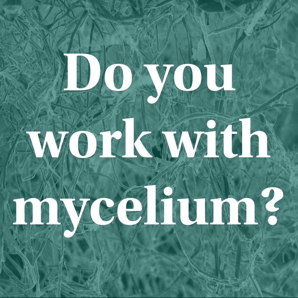 ecovative's tweet image. Want to be featured in our #DesignerSpotlight? Email katelynp@ecovativedesign.com for more info!