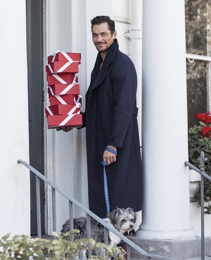 Happy Holidays from David and #DoraGandy! 🎄🐶 ❤️ David partnered with <a href="/Kiehls/">Kiehl's Since 1851</a> and @WAHFoundation_ to raise awareness for rescue dogs #AdoptDontShop 

Watch the adorable video here >>> bit.ly/2Q1RkvK