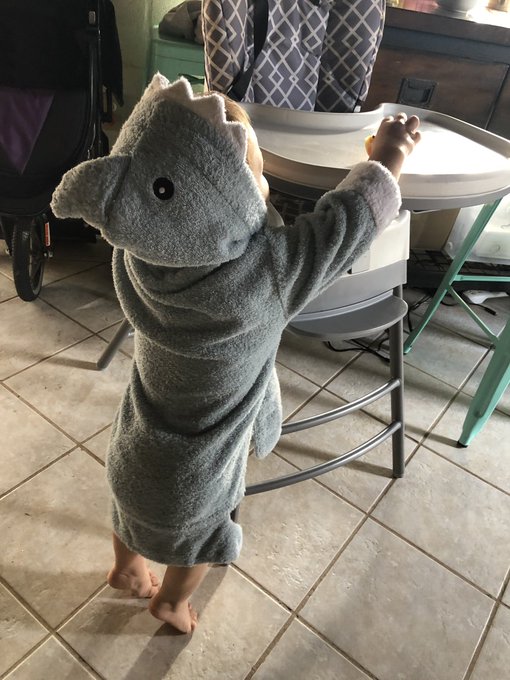 Baby shark 🦈 https://t.co/jKdro7kP5M