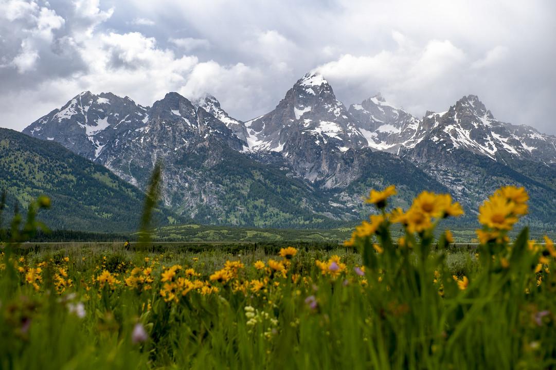 patagonia's tweet image. We&apos;re giving our $10 million tax cut back to the planet.
pat.ag/6qkg8