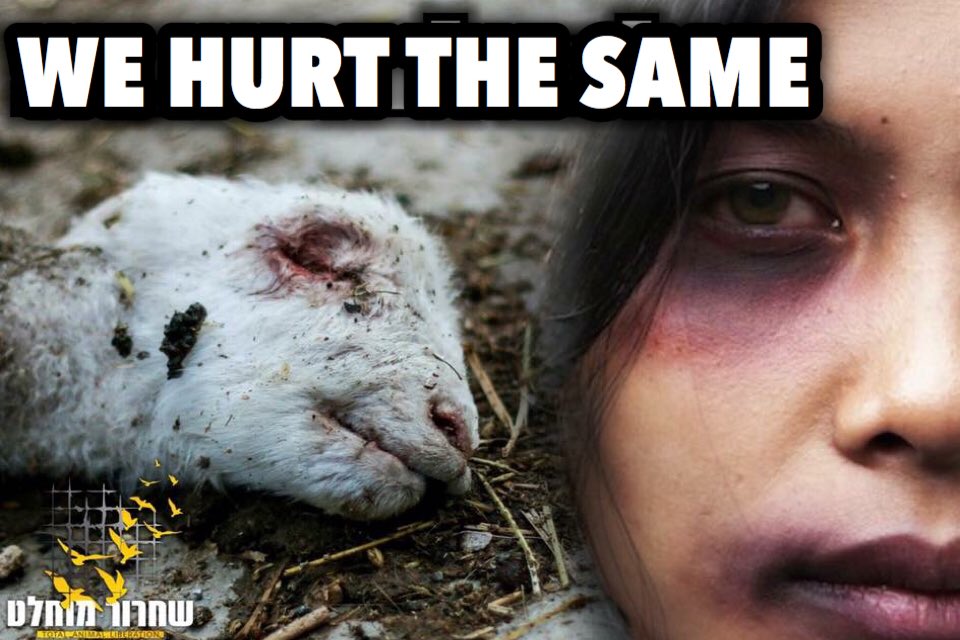 Total Animal Liberation on Twitter: Total Animal Liberation on Twitter: