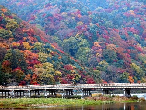 dermourder's tweet photo. ㅤㅤㅤ
ㅤㅤㅤㅤㅤㅤ " ARASHIYAMA "
ㅤㅤㅤ https://t.co/0xEfMfFL75