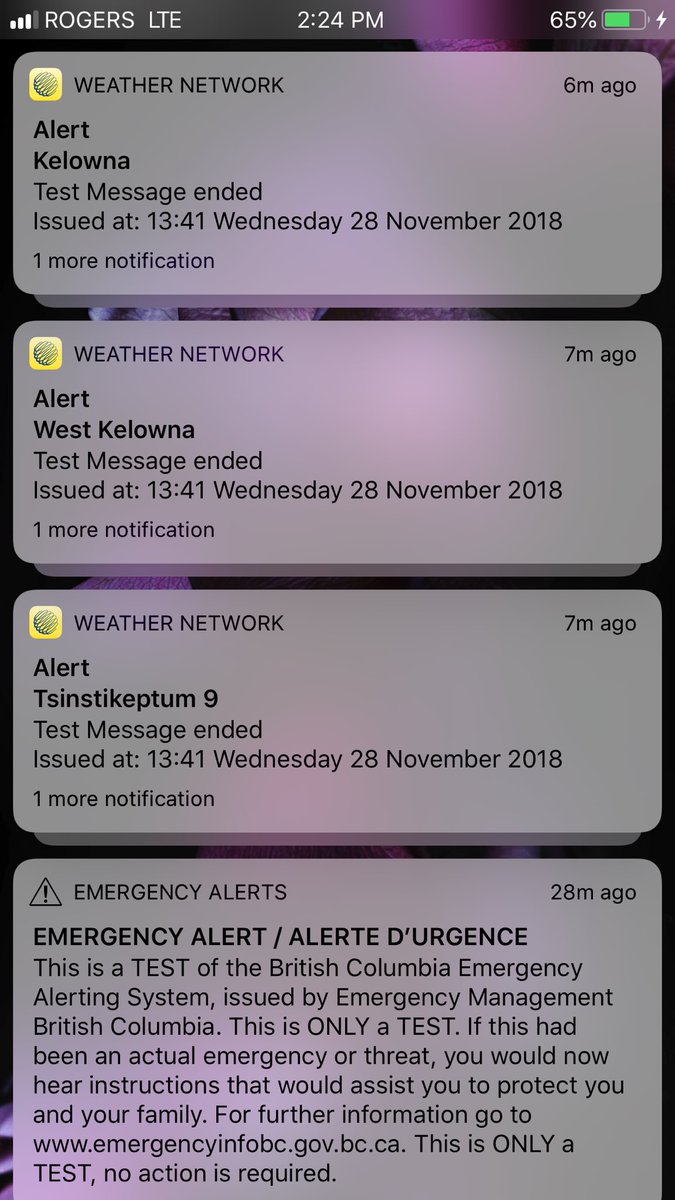 ZWineNinja's tweet image. Good to know that if I’m driving that my phone won’t scare the crap out of me #testalert