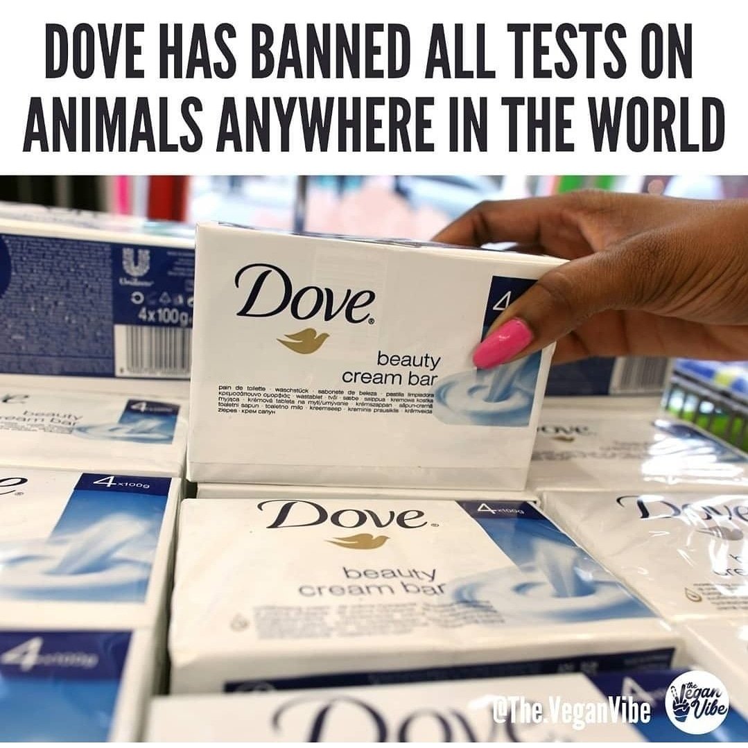 stephlouholmes's tweet image. Well done Dove!! Best thing I&apos;ve heard all day @Dove #AnimalWelfare #AnimalRights #bantesting #animallivesmatter