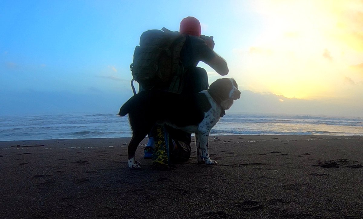 WildWestCork's tweet photo. Out for a short run on the beach with the dogs. Storm Diana has passed but the sea is still churned up and scary looking @SouthernStarIRL @CelticRossHotel @theskibeagle @theirelandguide @PhotosCork @cork_daily #StormDiana https://t.co/H7P3ijMb4R