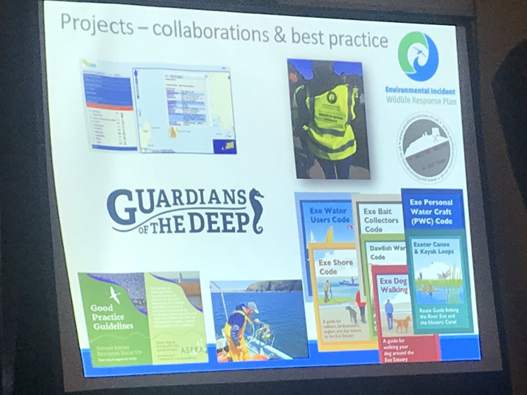 ThanetCoastProj's tweet photo. Great workshops, feedback &amp; presentations at this year's Coastal Partnerships Network #CPN2018 Annual Conference, Cardiff  @cpn   @MPAs_UK Thank you hosts: @SevernEstuary https://t.co/PdykXb3VTr