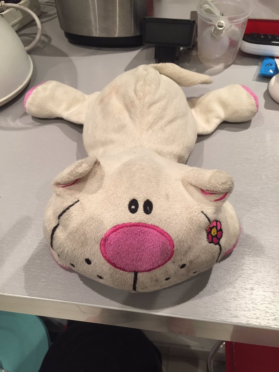 Dis Twitter le petit Charles Descamps a perdu son doudou rue du Cherche Midi 75006 Paris. On le lui ramène? #doudouperdu