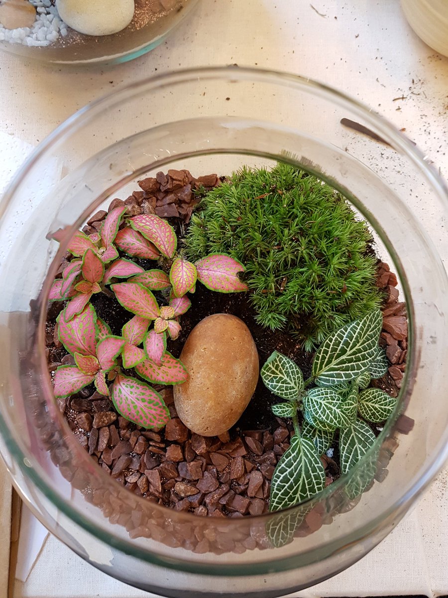 Heleoniesone's tweet photo. Je commence le @SalonCSF par un joli terrarium. C'était très sympa à faire et Laetitia de https://t.co/G5rV9KbEdw explique très bien, je me sens tout à fait capable de refaire à la maison.

#salonCSF #CSF2018
#DIY #diyHélé #HomeSweetHome https://t.co/SRSQvTSzbh