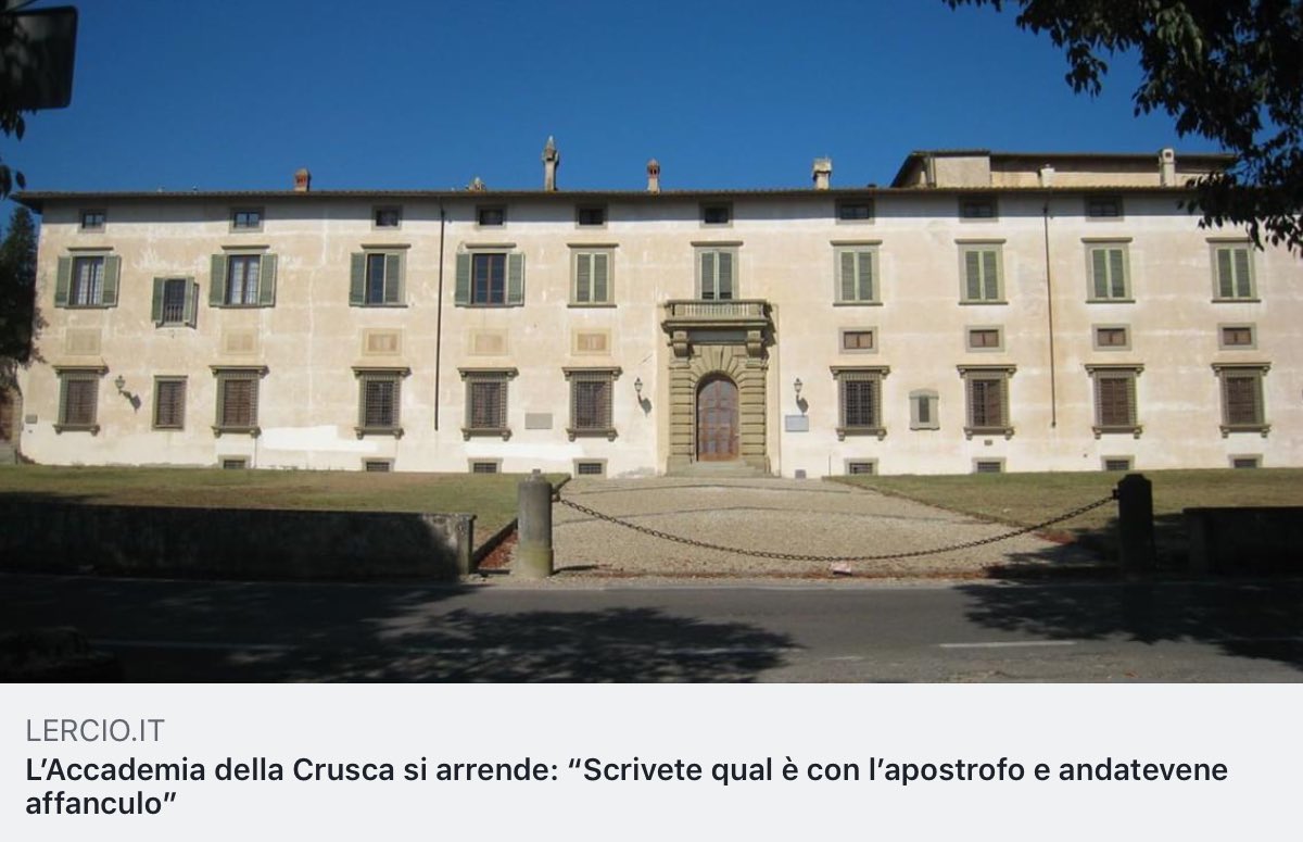 fioridizuccaa tweet picture